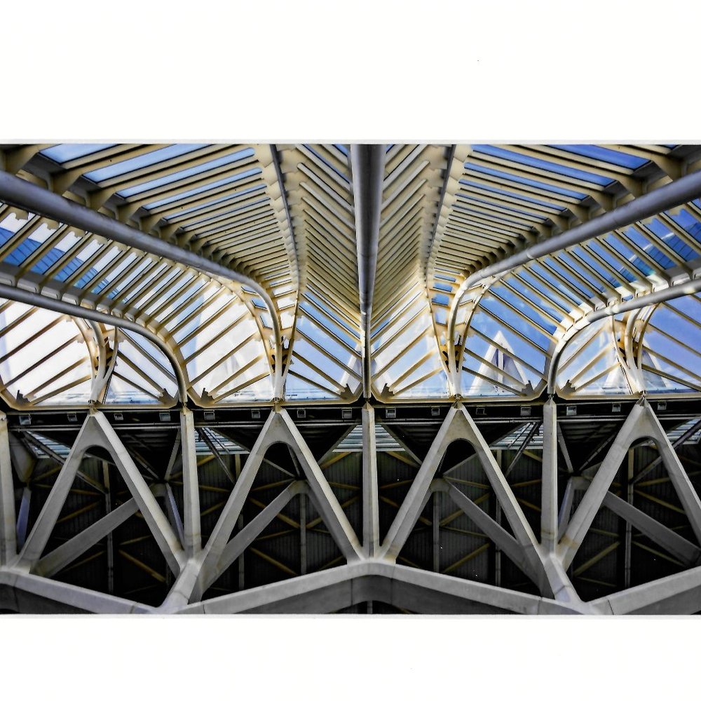 Bones Of The Science Museum Valencia Spain 6x9 Mated Photographic Art Print +COA